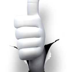 10 Tell-Tale Signs You Have A True Human Resource Business Partner?