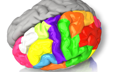 Left HR or Right HR?