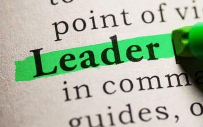 How to Choose the Right Leadership Coach in Edmonton (and Why Fit Matters)